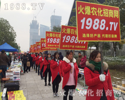 �r(n��ng)���t--2016�Ͼ�ֲ�������������}ɫ����