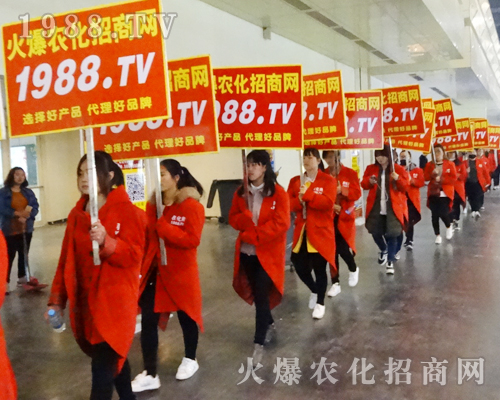 2017����Ϸ����p������1988.TV���̟o�ϵK�������б�����