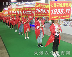 ���r(n��ng)���W(w��ng)�F(tu��n)�Y(ji��)һ�y�ֲ�������2018�����r(n��ng)�Y���[����