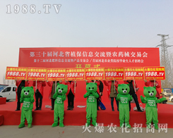 ���r(n��ng)���W(w��ng)�F�Yһ�y�ֲ�������2019�ӱ�ʯ���fֲ������