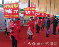 Ҫ����������1988.TV�ذ�����2019��30�úӱ�ֲ������