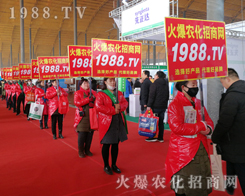 2019��30�úӱ�ֲ���������r(n��ng)���W(w��ng)Ҋ�C�ИI(y��)ʢ���ل�(chu��ng)�ѿ���