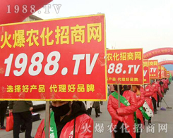 2019�ӱ�ʯ���fֲ������1988.TV�������F(xi��n)�����Pע��