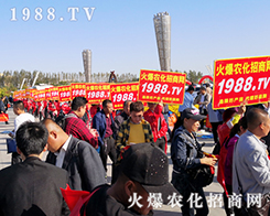 ���r(n��ng)�����̾W(w��ng)ʢ�b����2019��ʮ�����L��ֲ������