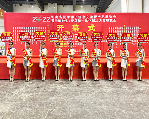 �����]�����Ĵ������������L(f��ng)�ɱM�@��