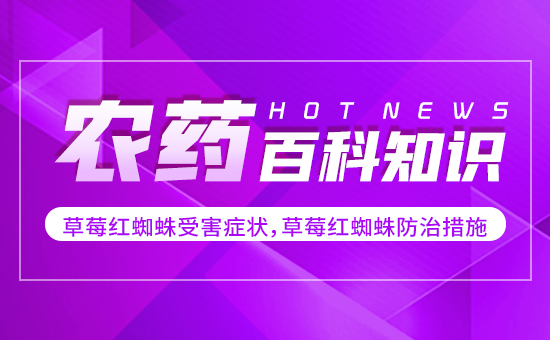 ��ݮ�t֩���ܺ��Y������ݮ�t֩����δ�ʩ