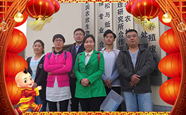 ���������B(t��i)��ף��(j��ng)�N���������µ�һ���������³�������������