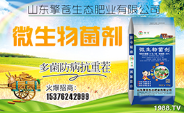 �����n���B(t��i)����ף���Ͽ͑��i���д��\��ؔԴ�L�L����