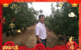 ������ʘI(y��)��ף���Ѻ��¶����Ц�ݶ����