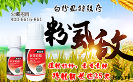 �����˹�r(n��ng)�I(y��)��ף�������w�������f��������