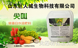 �����˳����ף������µ�һ�������w�����������³����f��������