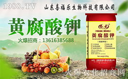 ��ϲ������ף������µ�һ���﹤�����������������