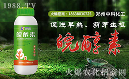 ���пƻ�����ף�������µ�һ�����Ҹ����M���H�Қg��