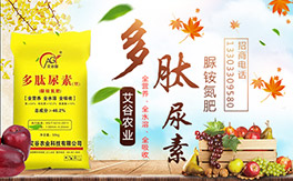 �������r(n��ng)�I(y��)����ף����´��옷�����w�������H���Ҹ����f��������