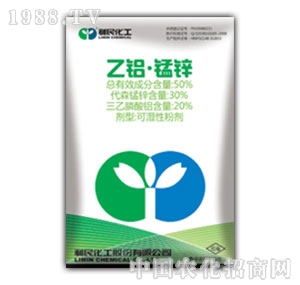 ����-50%���X�i�\�ɝ��Էۄ�