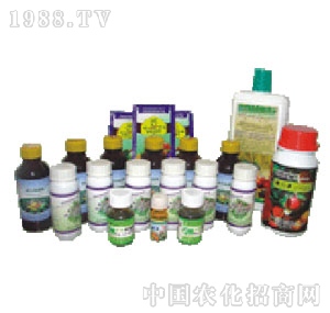 ����-�����