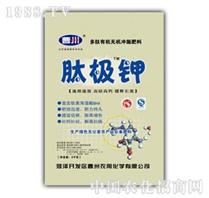 �����r(n��ng)��-�ĘO�