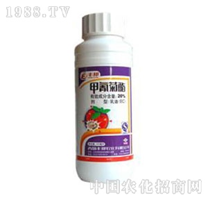 ���u�S��-�����������