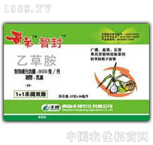 ���u�S��-����Ƿ�