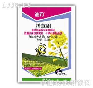 ���u�S��-�͵�