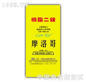 Ħ���-�������