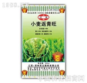 �K��-С��������