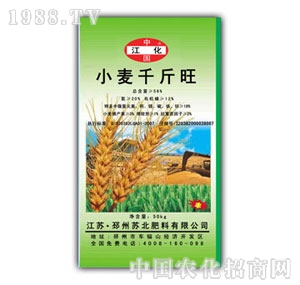 �K��-С��ǧ����