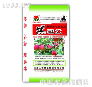 �Č�(sh��)-�ڰ��������ЙC(j��)��