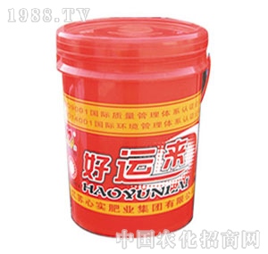 �Č�-���\��