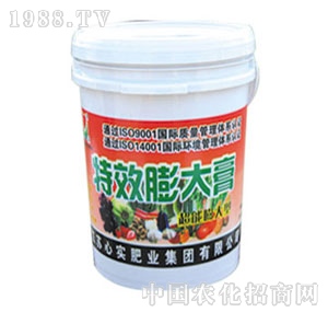 �Č�-����