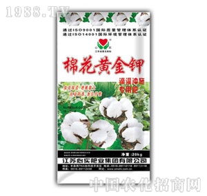 �Č�-�޻��S���