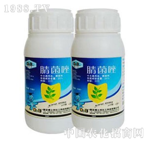 ��ʿ��-�����