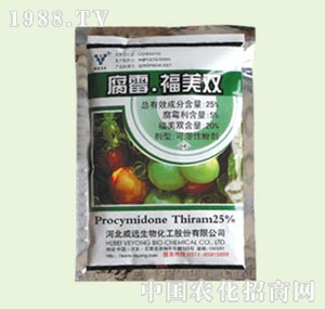 �̴T�S-��ù�������p