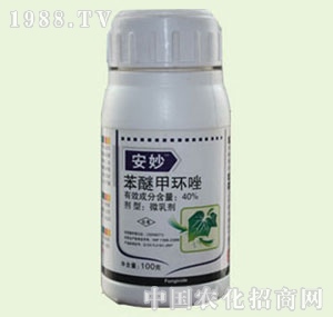 �̴T�S-����