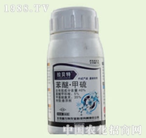 �̴T�S-��ؐ��