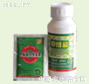 �̴T�S-�װ���