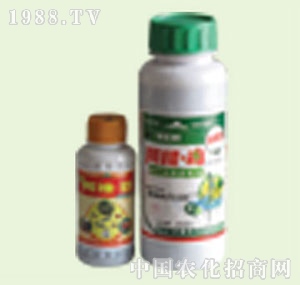 �̴T�S-15%���S��