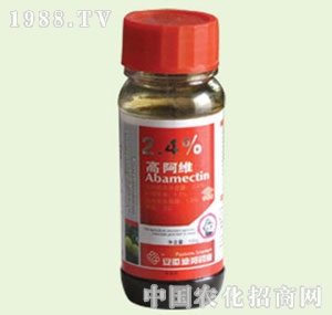 �̴T�S-���S����