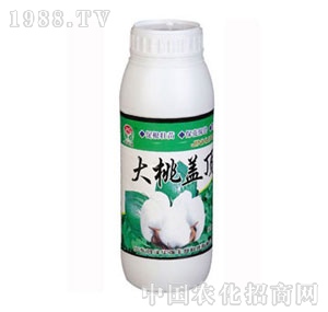 ���A��-�����w�