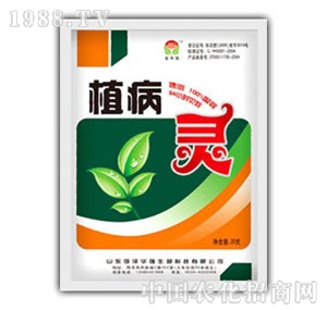 ���A��-ֲ���`