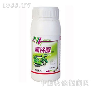 ���A��(qi��ng)-�����