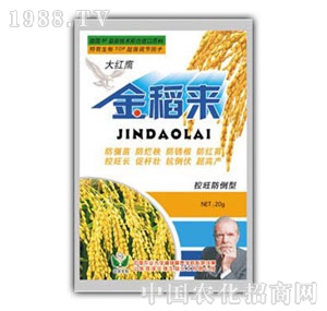 ���A��(qi��ng)-�𵾁�(l��i)