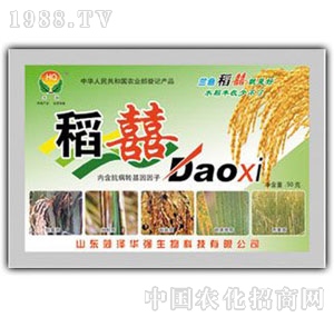 ���A��(qi��ng)-��ϲ