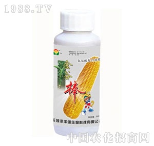 ���A��(qi��ng)-��Ȱ�