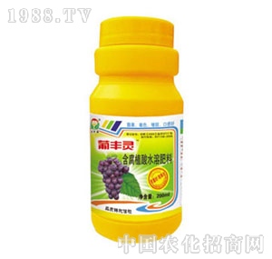 ���A��(qi��ng)-���S�`