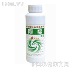 ���A��(qi��ng)-����1̖