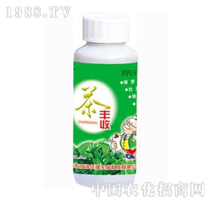 ���A��(qi��ng)-���S��