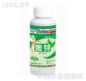 ���A��(qi��ng)-��ѿ��ѿ���L��