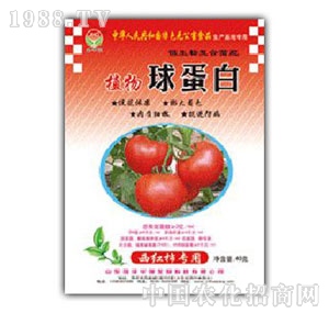 ���A��(qi��ng)-ֲ���򵰰����t������