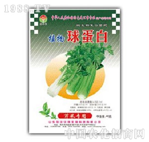 ���A��(qi��ng)-ֲ���򵰰��۲ˌ���